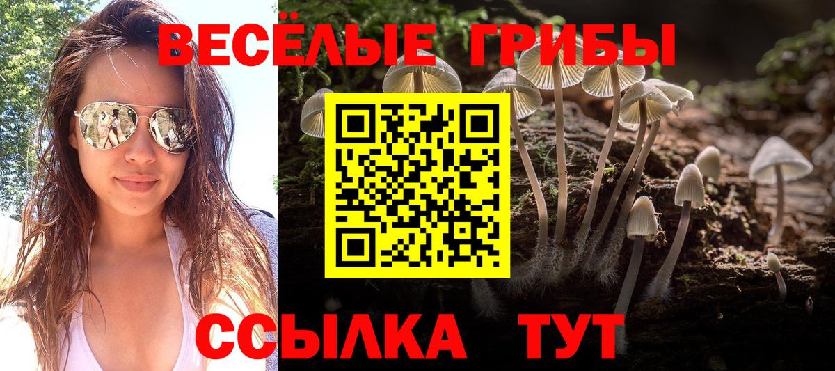 Псилоцибиновые грибы Psilocybine cubensis  Псилоцибиновые грибы мухоморы  Сергиев Посад  Вход с VPN 