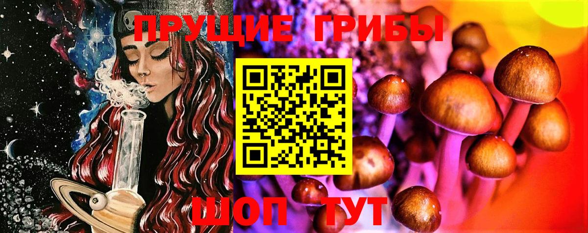 Псилоцибиновые грибы GOLDEN TEACHER Сергиев Посад